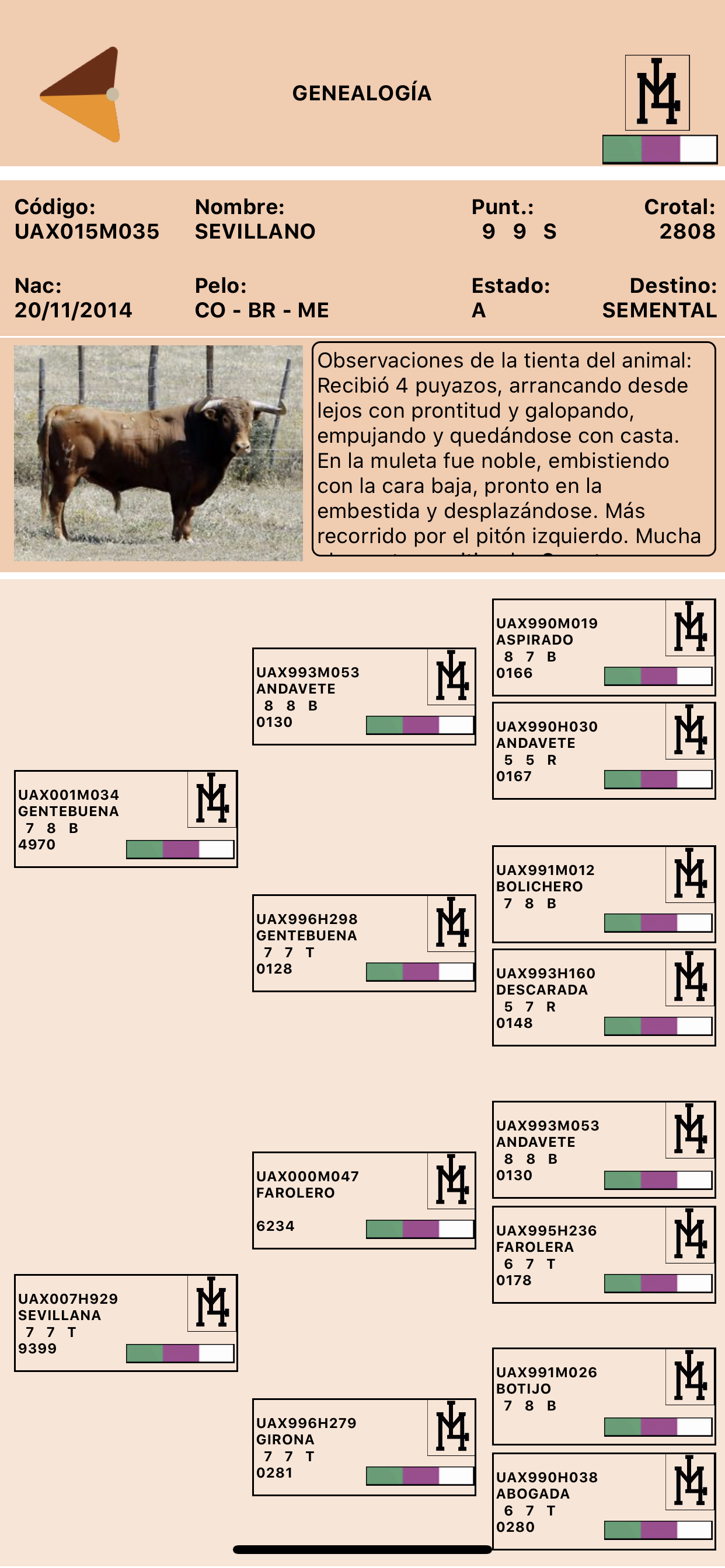 LidiaNet - árbol genealógico